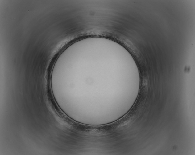X0000091990678200710041130