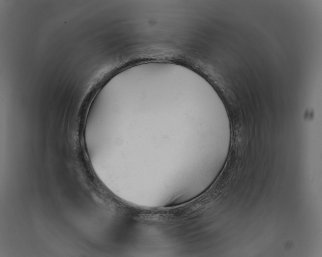 X0000091990679200710041130
