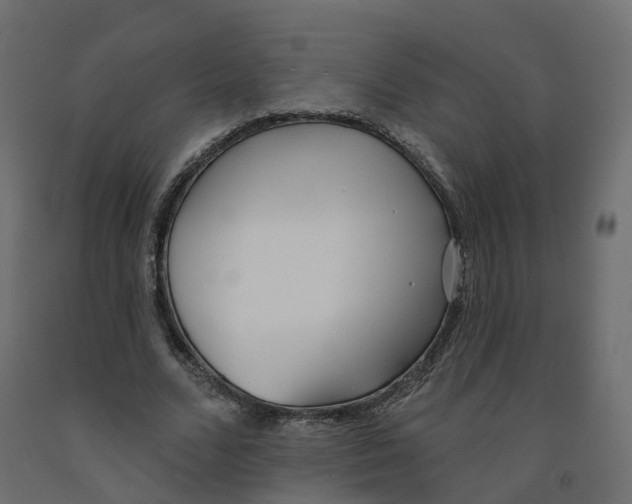X0000091990680200710041130