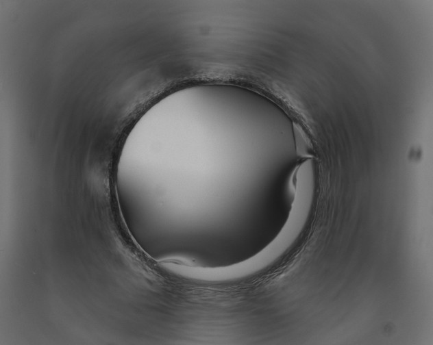 X0000091990681200710041130