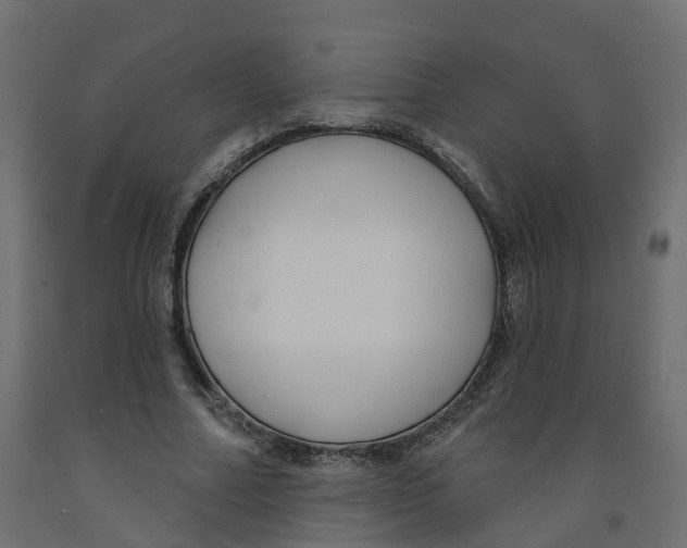 X0000091990682200710041130