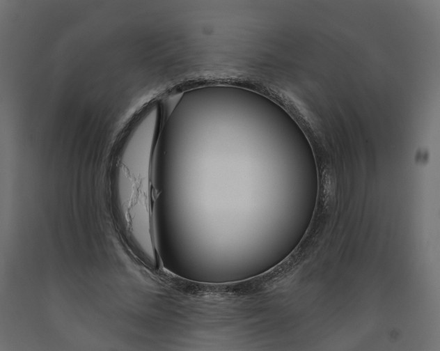 X0000091990684200710041130