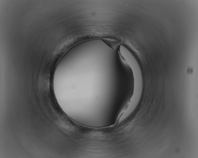 X0000091990685200710041130