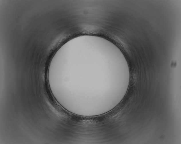 X0000091990686200710041130
