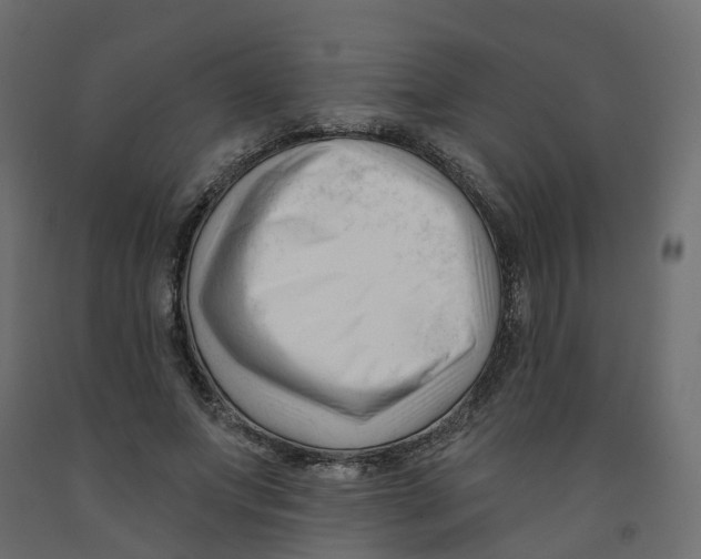 X0000091990687200710041130