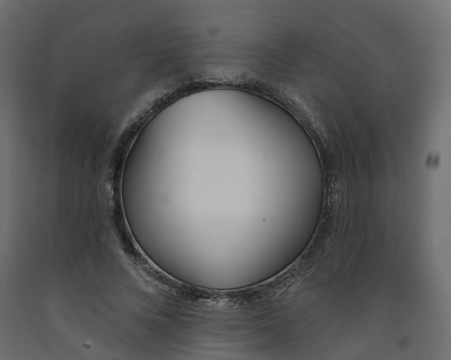 X0000091990688200710041130