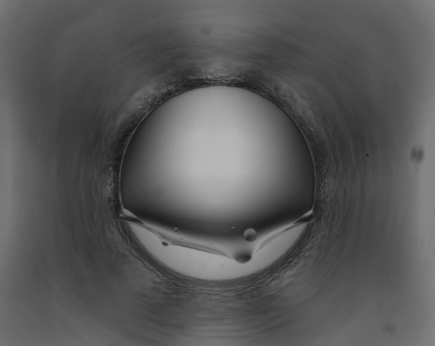 X0000091990689200710041130