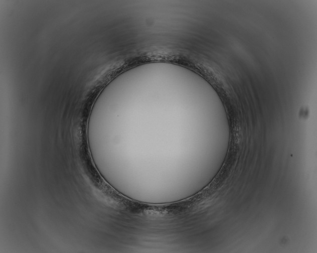 X0000091990690200710041130