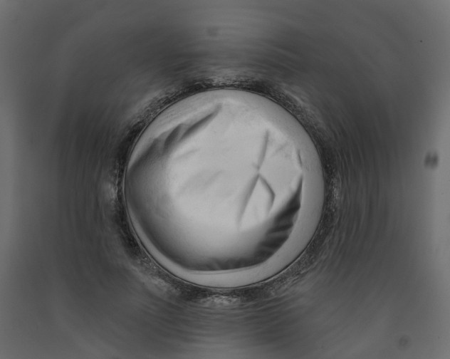 X0000091990691200710041130