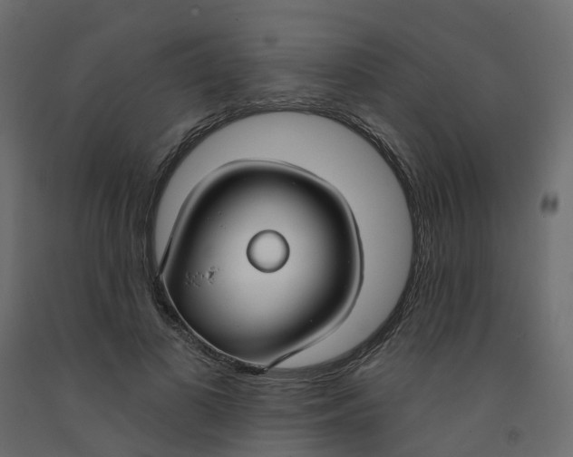 X0000091990693200710041130