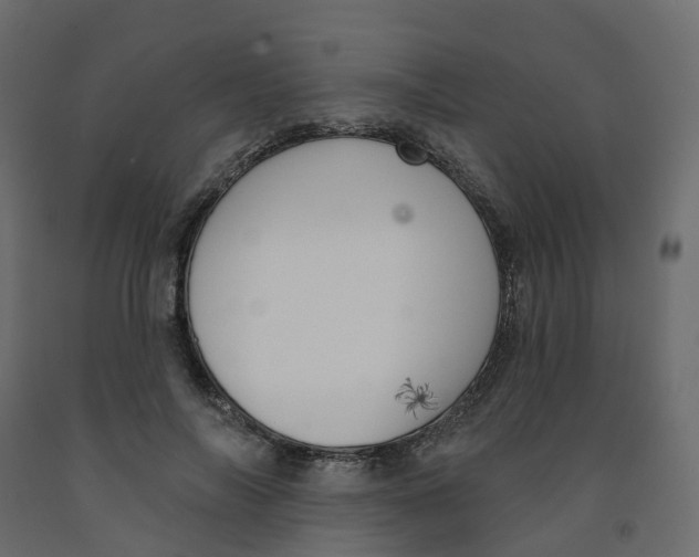 X0000091990694200710041130