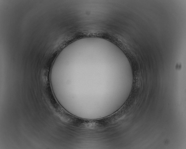 X0000091990695200710041130