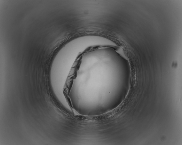 X0000091990696200710041130