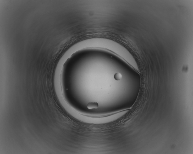 X0000091990697200710041130