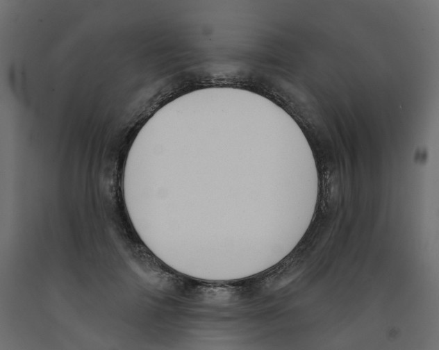X0000091990698200710041130