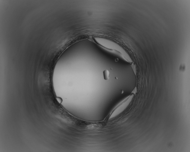 X0000091990700200710041130