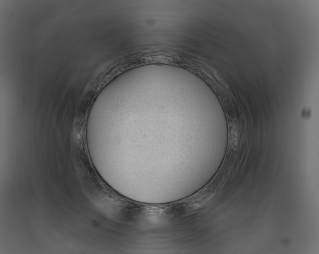 X0000091990701200710041130