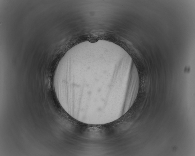 X0000091990703200710041130
