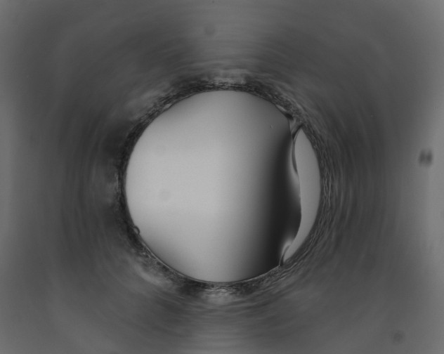 X0000091990704200710041130