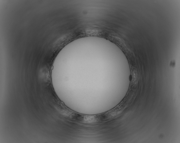 X0000091990705200710041130