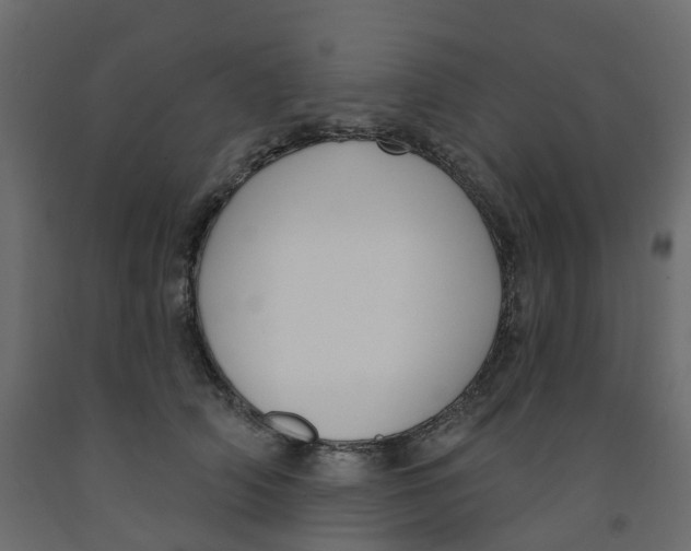 X0000091990706200710041130