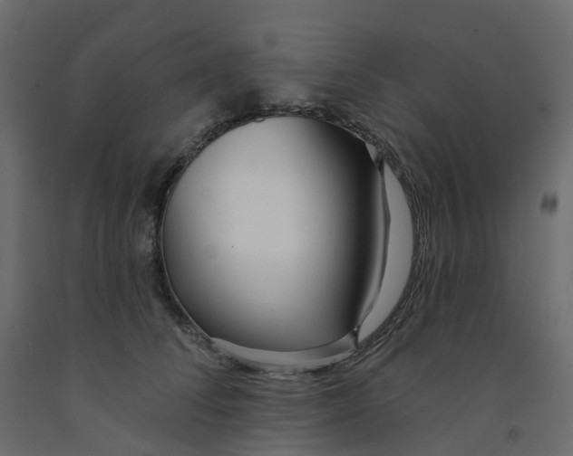 X0000091990708200710041130