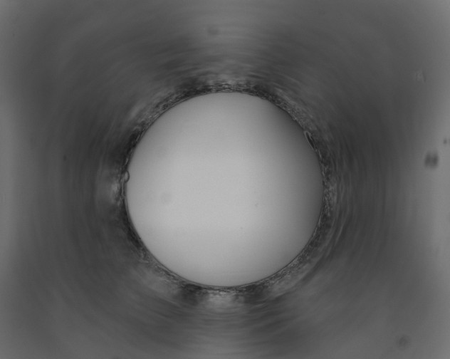 X0000091990709200710041130