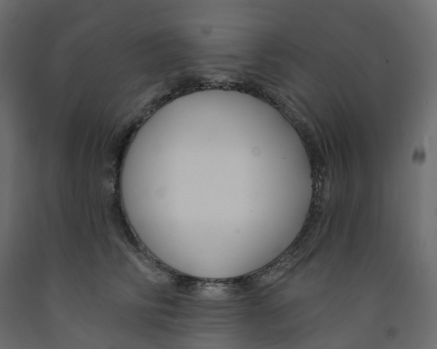 X0000091990710200710041130
