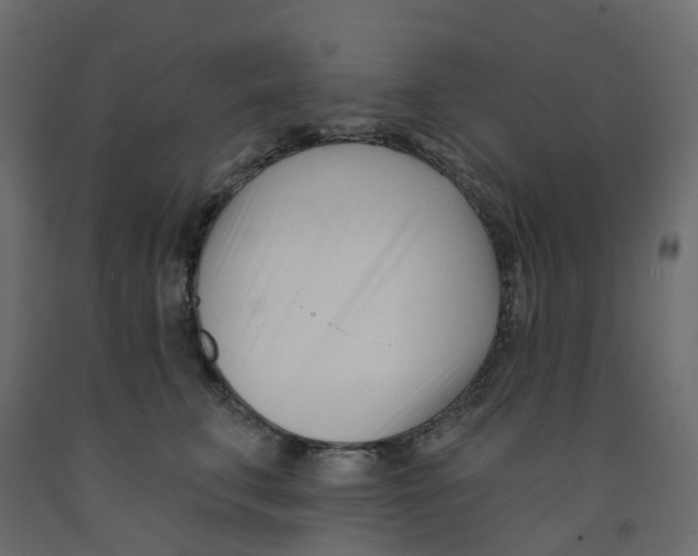 X0000091990711200710041130