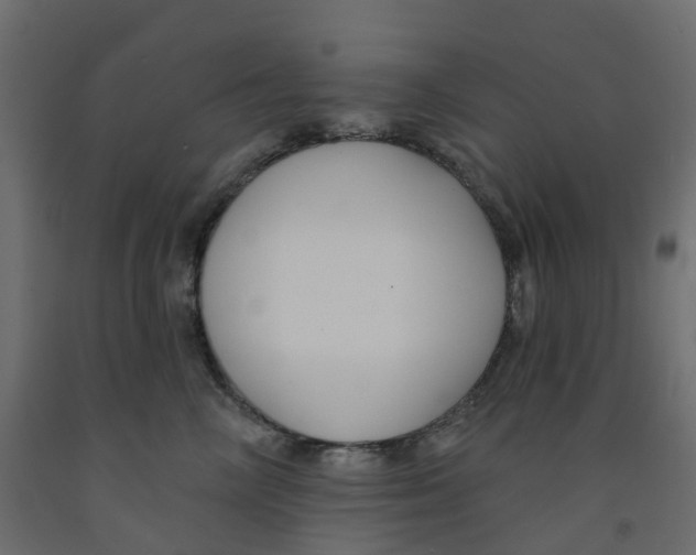 X0000091990714200710041130