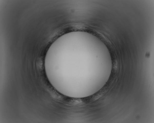 X0000091990715200710041130
