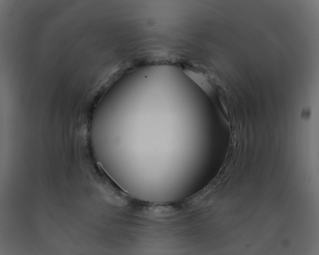 X0000091990716200710041130