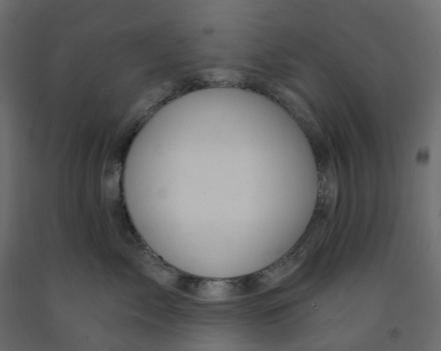 X0000091990717200710041130