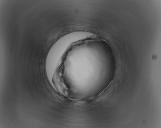 X0000091990720200710041130