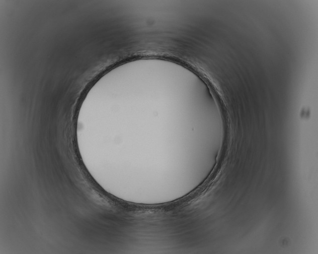 X0000091990721200710041129