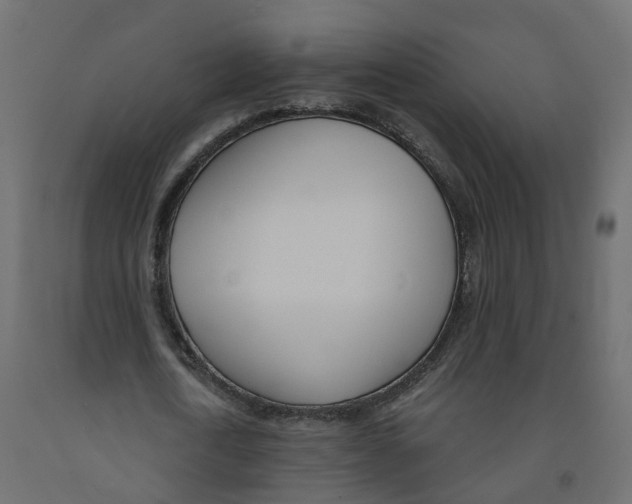 X0000091990722200710041129