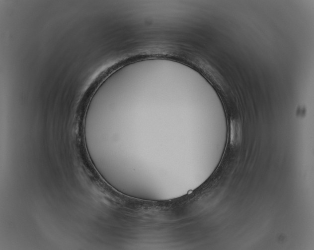 X0000091990723200710041129
