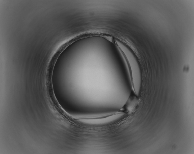 X0000091990724200710041129