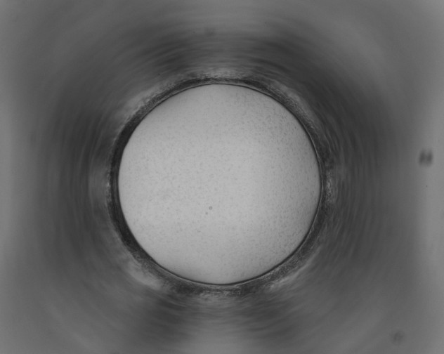 X0000091990725200710041129