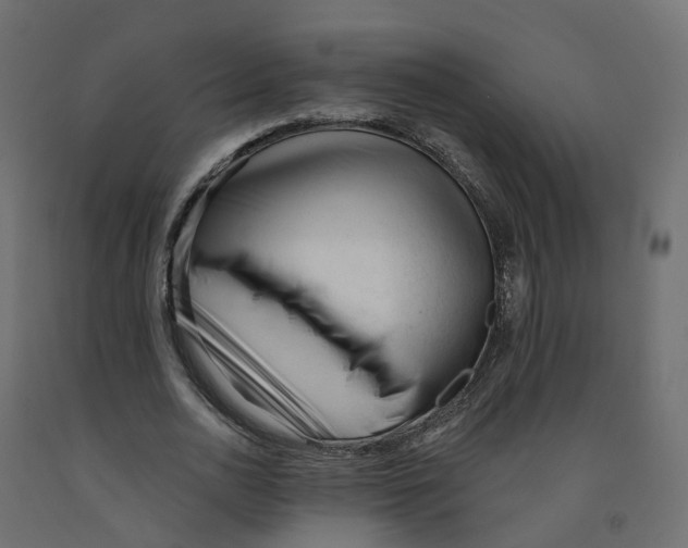 X0000091990726200710041129
