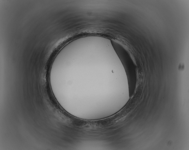 X0000091990727200710041129
