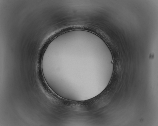 X0000091990728200710041129