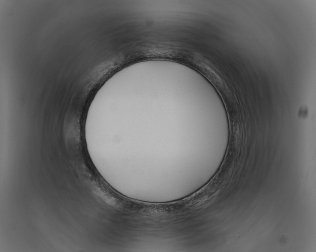 X0000091990729200710041129