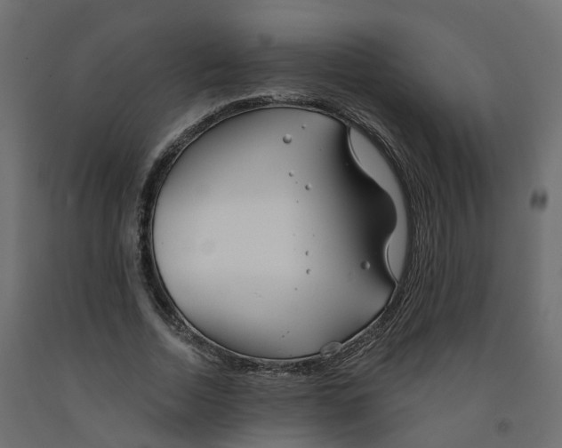 X0000091990730200710041129