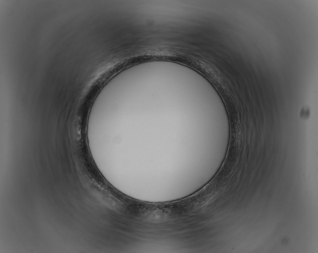 X0000091990731200710041129