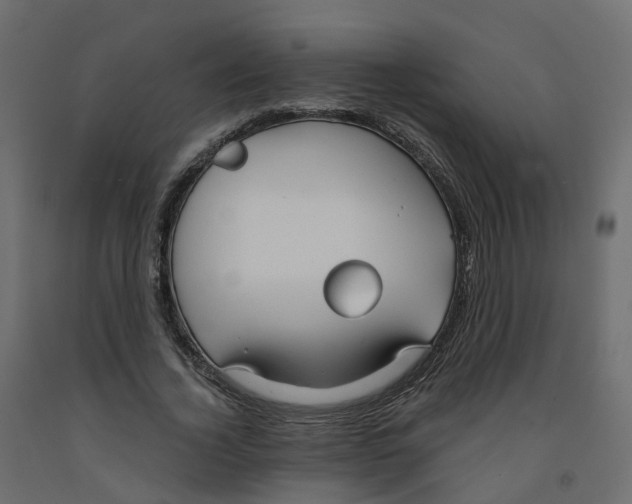 X0000091990732200710041129