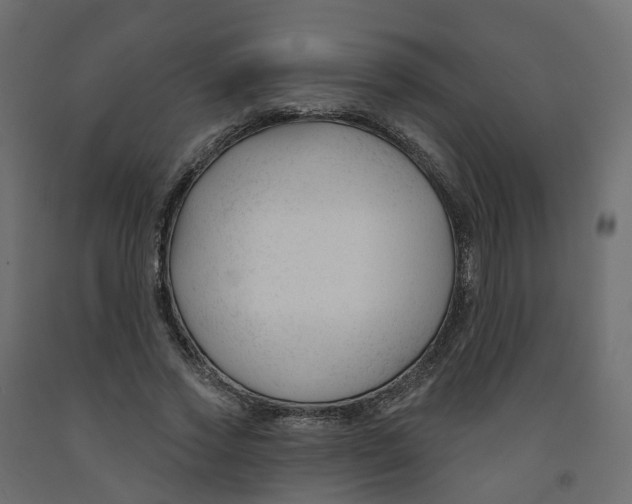 X0000091990733200710041129
