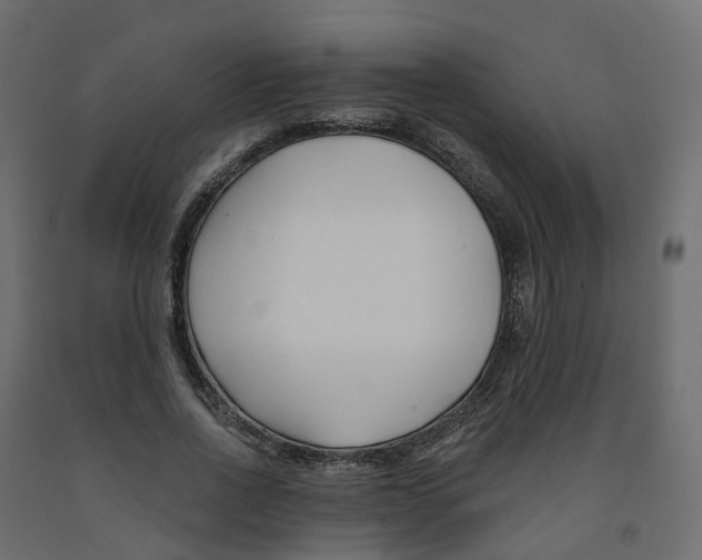X0000091990734200710041129