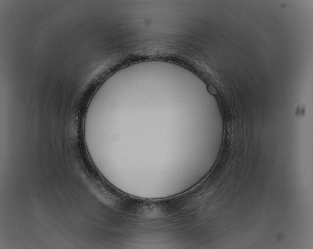 X0000091990735200710041129