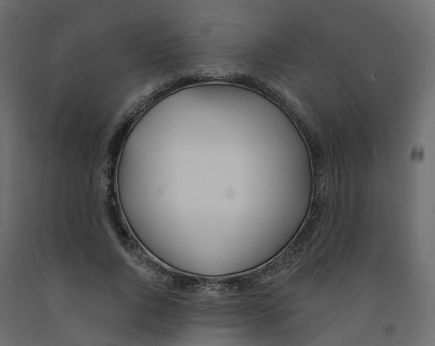X0000091990736200710041129